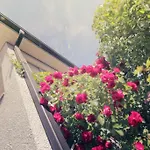 アパートホテル Kuukkarin Kortteeri ポリ