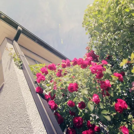 Aparthotel Kuukkarin Kortteeri Pori